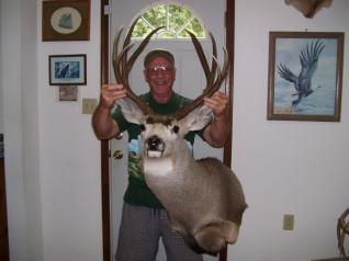 Mule Deer