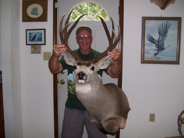 Montana Mule Deer