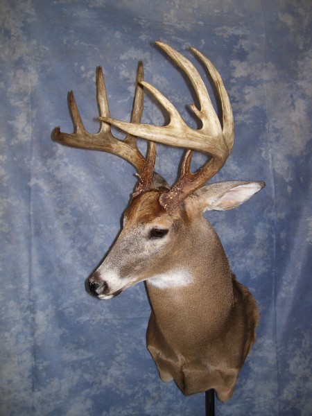 170 class buck