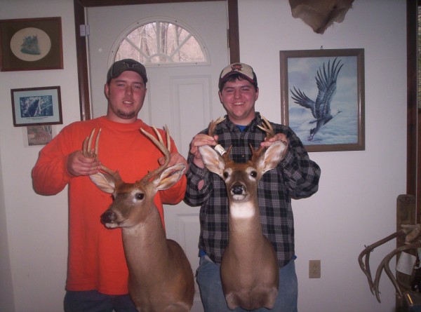 Bow & Arrow Whitetails