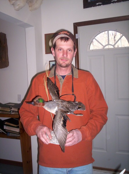 Green Winged Teal