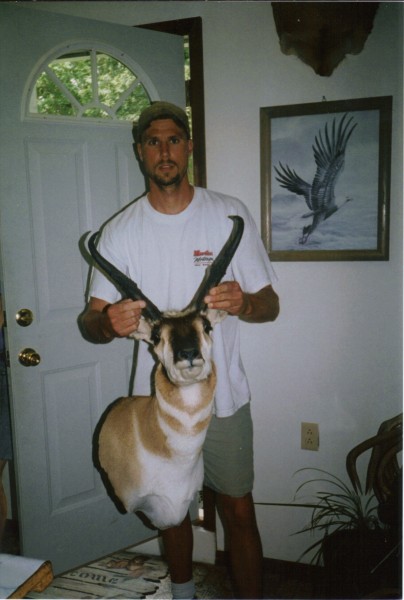 Antelope Mounted by Kline's Taxidermy