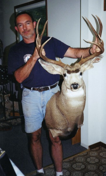 Mule Deer Mount by Kline's Taxidermy