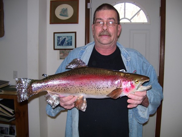 Rainbow Trout