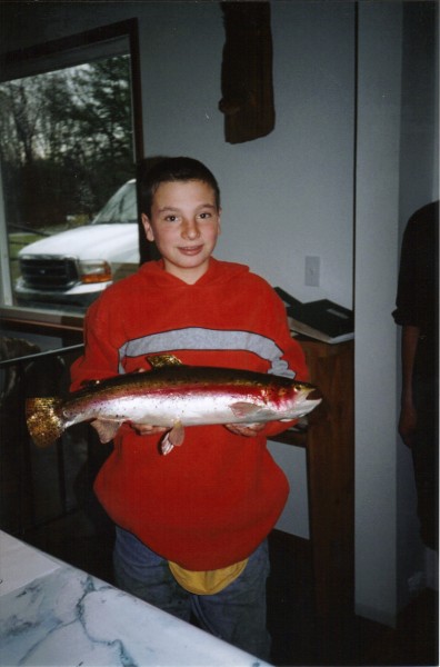 Rainbow Trout