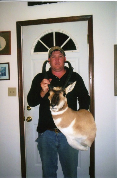 Antelope Mounted by Kline's Taxidermy