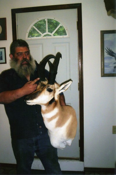 Antelope Mounted by Kline's Taxidermy