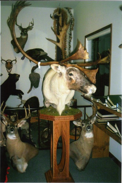 Pedestal Mount