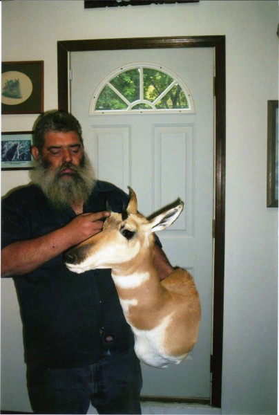 Antelope Mounted by Kline's Taxidermy