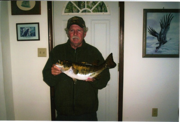 Smallmouth Bass Mount by Kline's Taxidermy