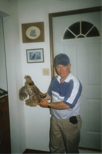 Ruffed Grouse Drumming