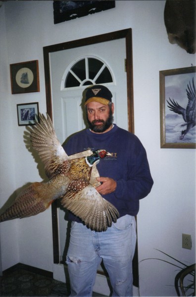 Pheasant Mounted by Kline's Taxidermy