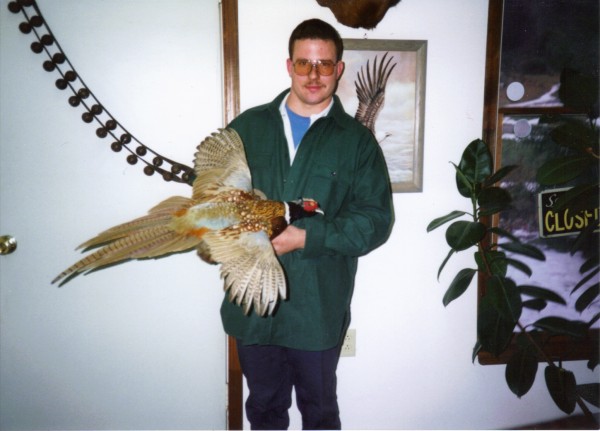 Ring Necked Pheasant