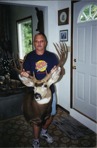 Upright Right Turn Mule Deer