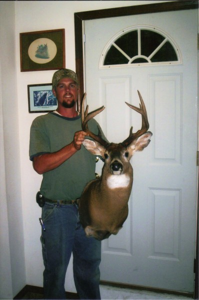 Deer Shoulder Mount by Kline's Taxidermy