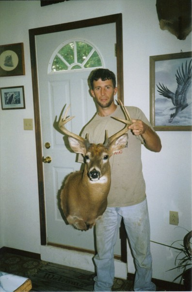 Maryland Deer Mounted by Kline's Taxidermy