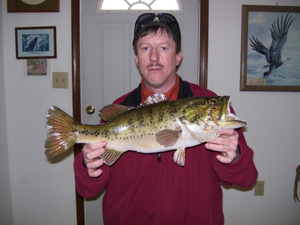 Largemouth Bass Mount