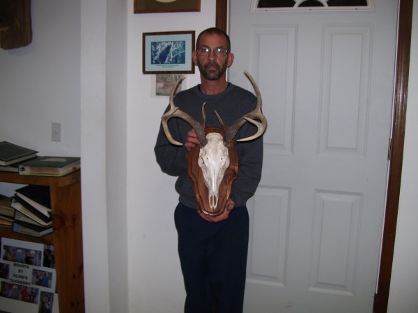 Maryland Whitetail European Mount