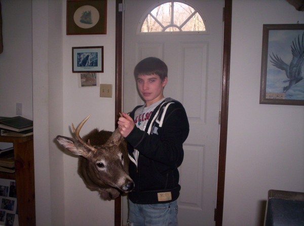 Deer Mount