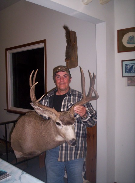 Muley Mount by Kline's Taxidermy