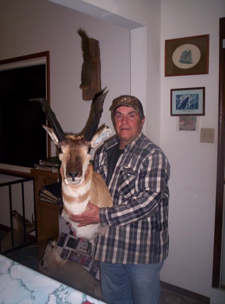 Antelope Mounted by Kline's Taxidermy