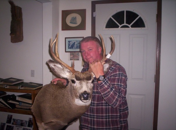 Mule Deer Shoulder Mount by Kline's Taxidermy