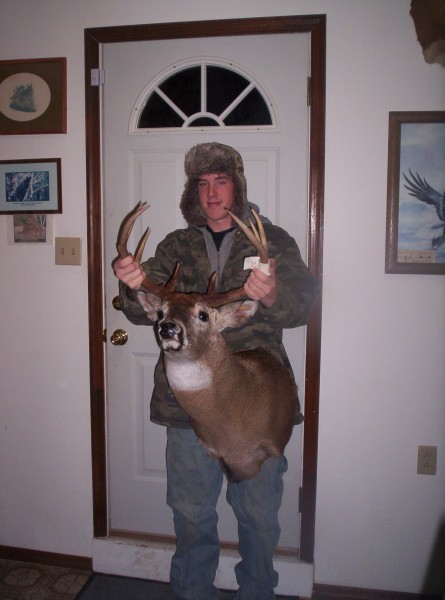 Deer Shoulder Mount 