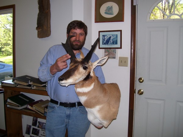 Wyoming Antelope Mounted by Kline's Taxidermy