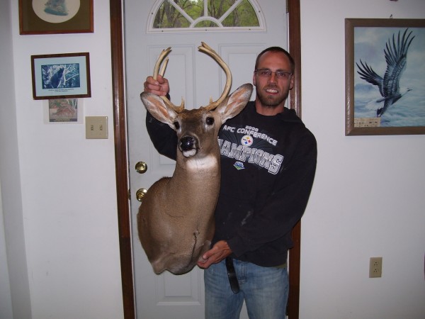 Early Season Whitetail Mount by Kline's Taxidermy