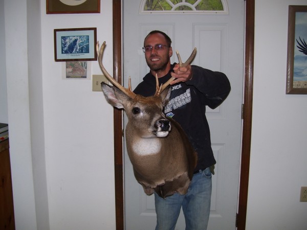 Head Up Pose Whitetail Mount, Kline's Taxidermy, Smithsburg, Maryland