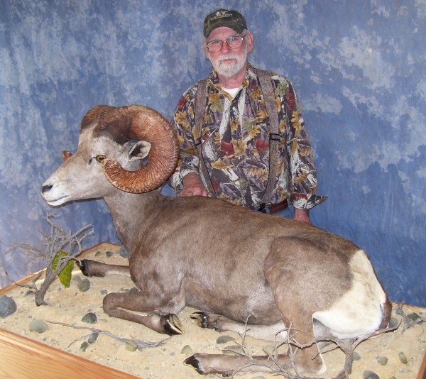 The Hunter and His Trophy Desert Bighorn Sheep