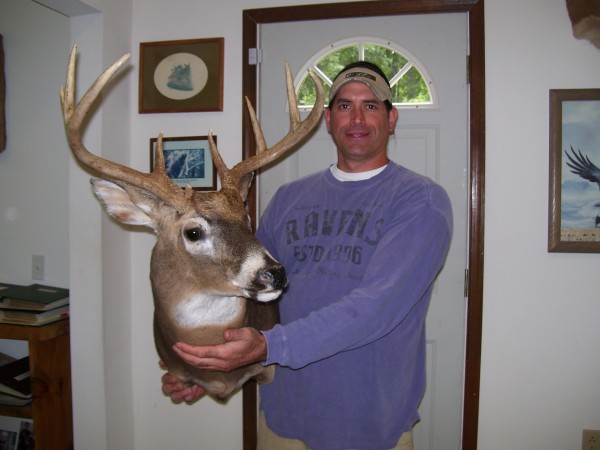 Missouri Whitetail Buck Mounted by Kline's Taxidermy