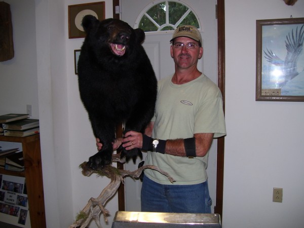 New Brunswick Black Bear Mounted by Kline's Taxidermy