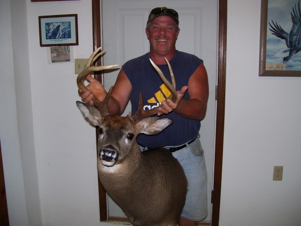 Heavy Horned Virginia Buck Mounted by Kline's Taxidermy