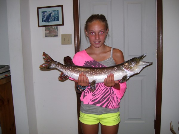 Northern Pike