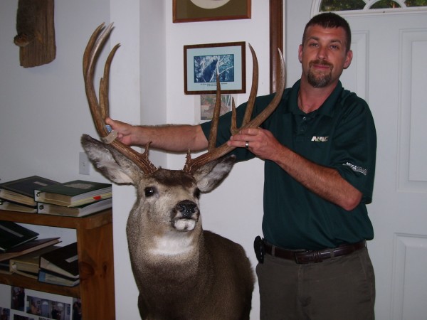 Montana Mule Deer by Kline's Taxidermy