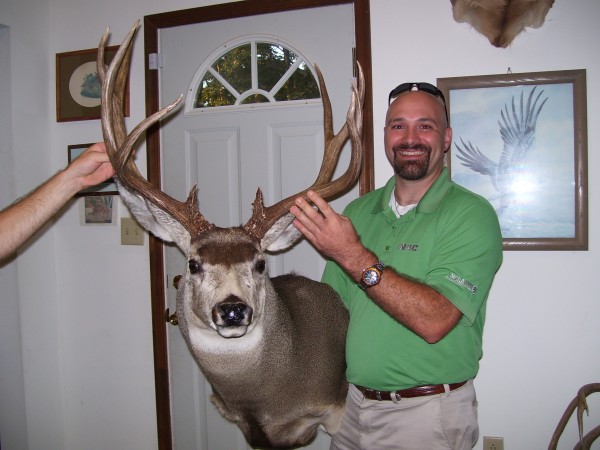 Heavy Horned Montana Muley