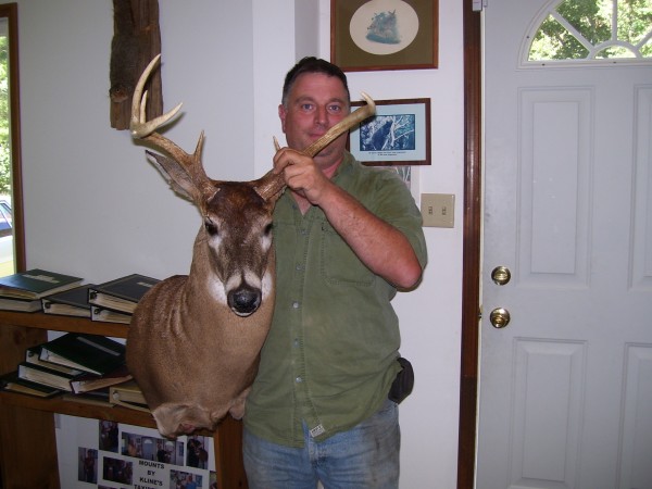 Aggressive Whitetail Mount by Kline's Taxidermy