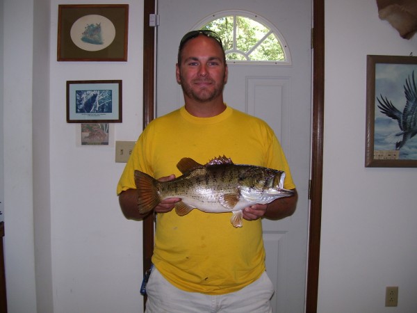 Largemouth Bass Mounted by Kline's Taxidermy