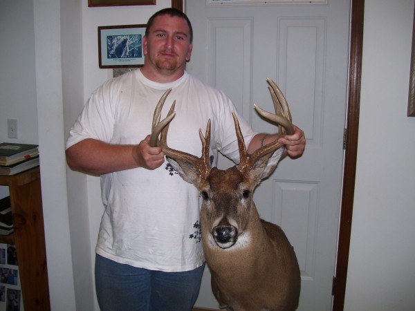 11 Point Whitetail Buck