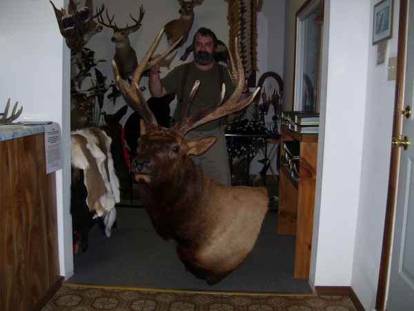 Pennsylvania Elk Mount