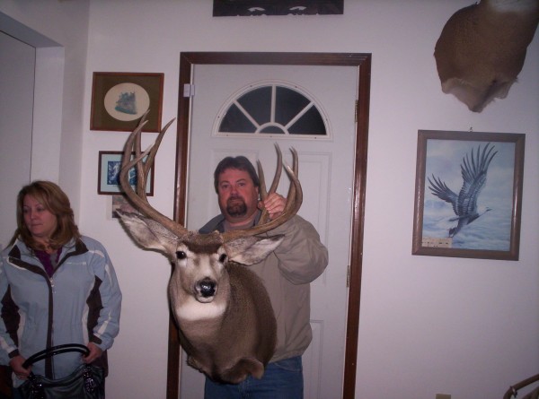 Wyoming Muley