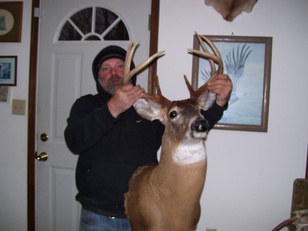 Maryland Whitetail Mounted by Kline's Taxidermy