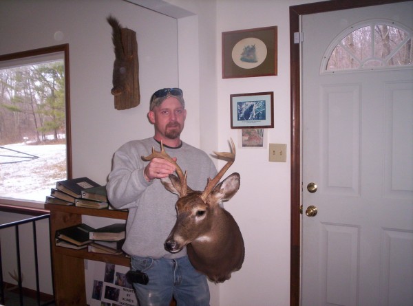 Mounted Whitetail Deer