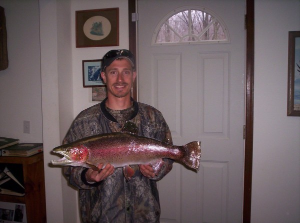 Rainbow Trout by Kline's Taxidermy