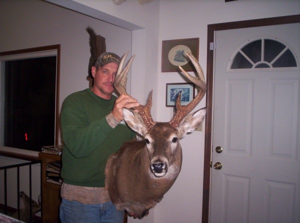 Iowa Whitetail