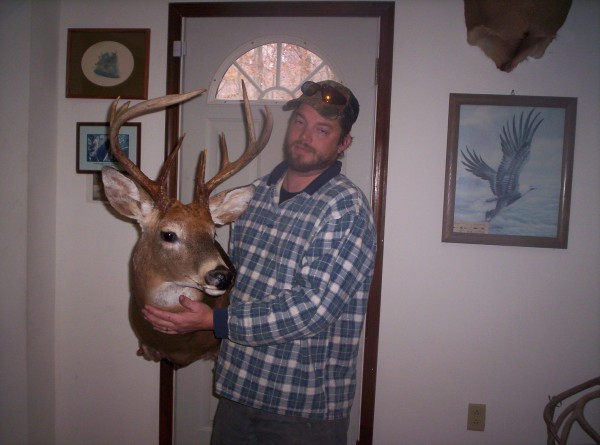 Deer Shoulder Mount by Kline's Taxidermy