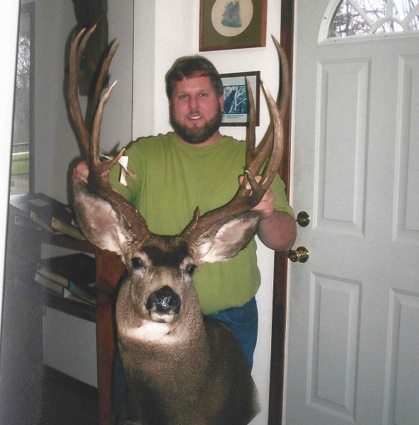 Colorado Mule Deer Mounted by Kline's Taxidermy