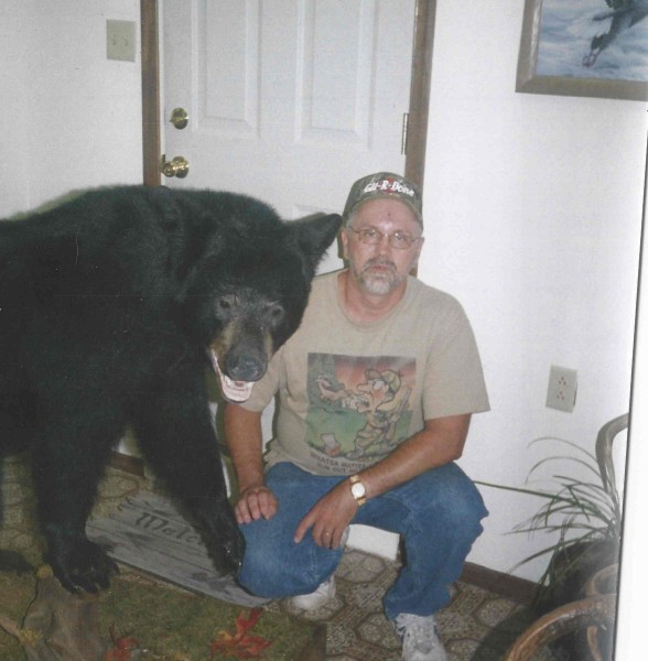 Maryland Black Bear Mount by Kline's Taxidermy