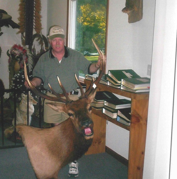 Colorado Bull Elk Mounted by Kline's Taxidermy